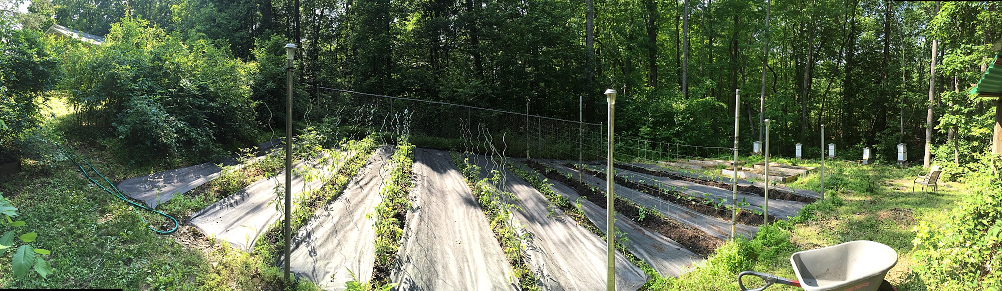 Garden2016edit.jpg