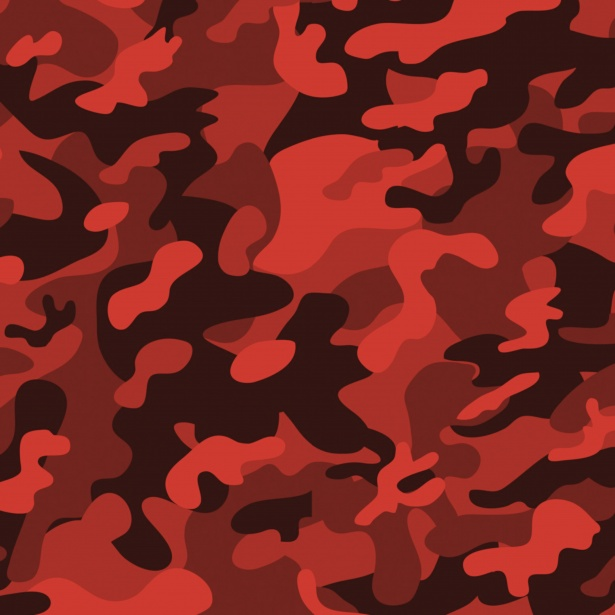 1644624233256.png