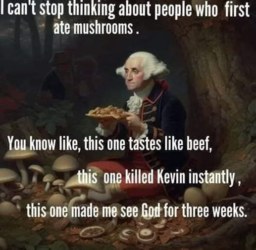 1734130793578.png