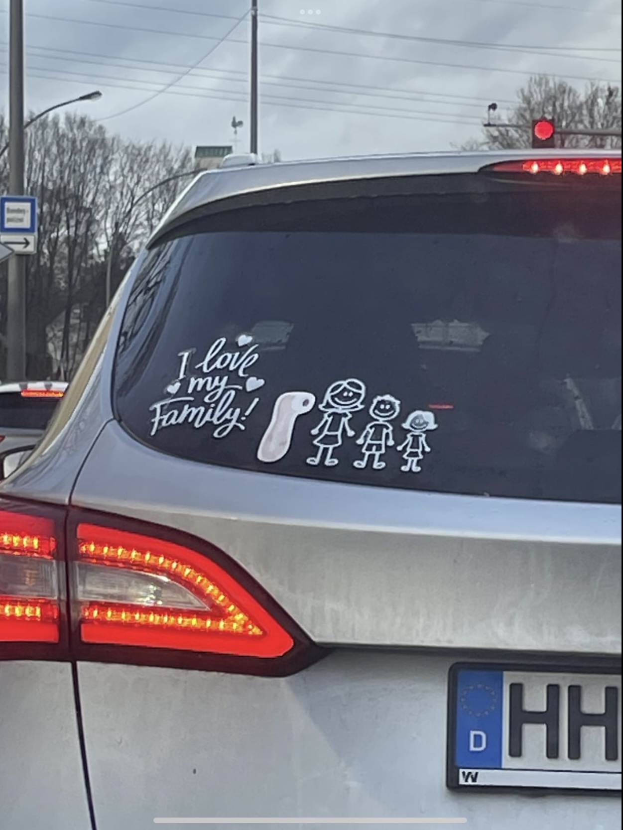 1736188295452.jpeg