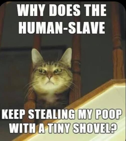 1760535233633.png