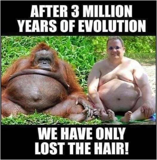 1760876473260.png