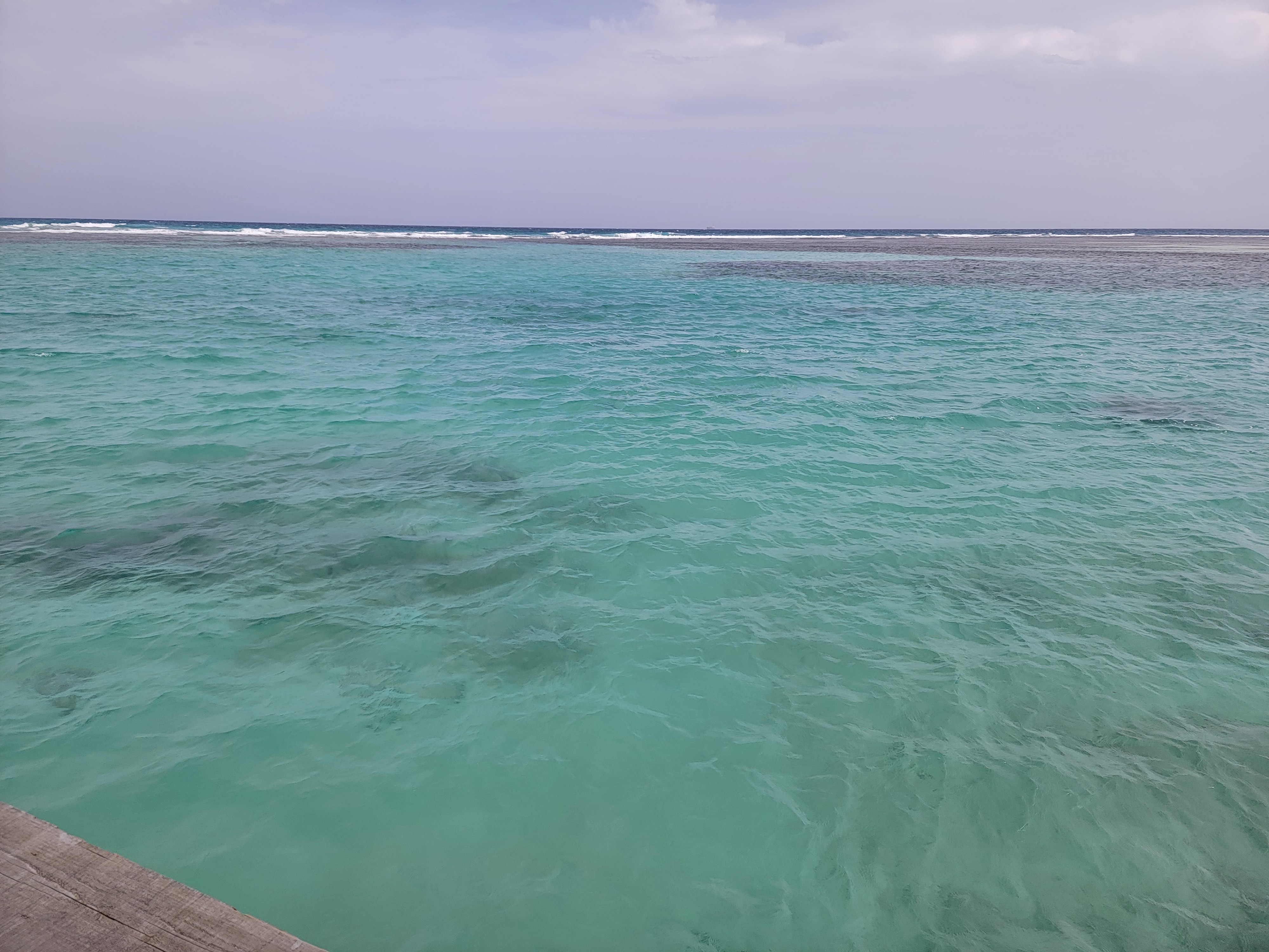 20250624_153707.jpg
