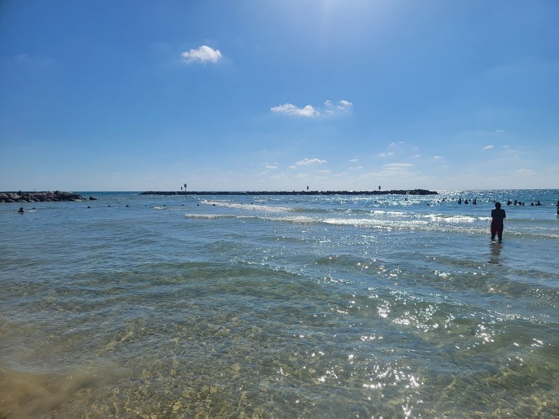 20260622_162917.jpg