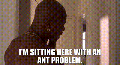 2a402806-805e-48d8-b2db-417dcb3fa07f_text.gif
