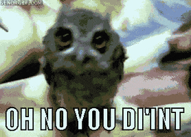 35DF8AC9-E32E-41B9-BF3C-7F02A0B6A489.gif