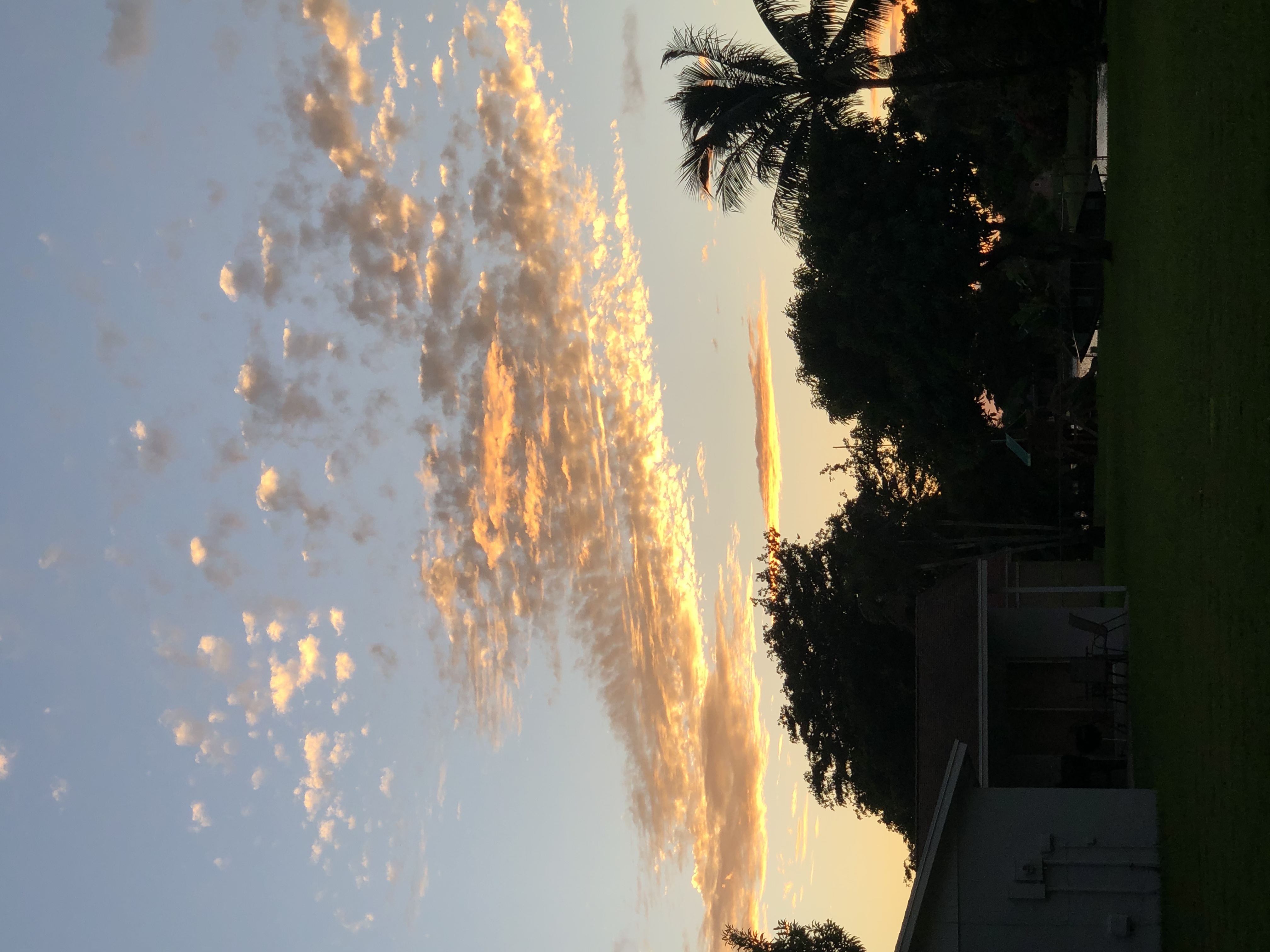 AE004DC6-742A-4AAE-8D79-6945128F1403.jpeg
