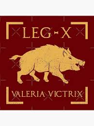 Boar Legion.jpg