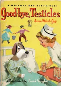 books-funny-bizarre-titles-23-1.jpg