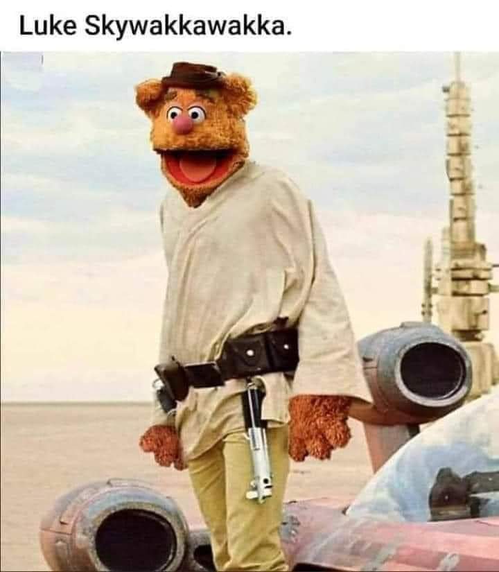 DAE3BEB7-2B02-4E8D-9794-228AFB6E0E98.jpeg