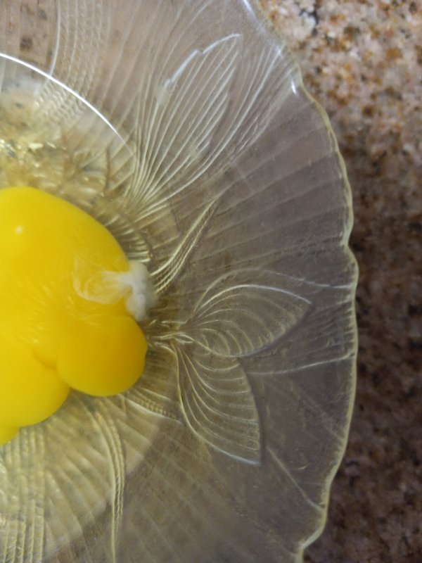 Egg 1.jpg