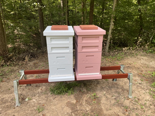 hives.jpeg