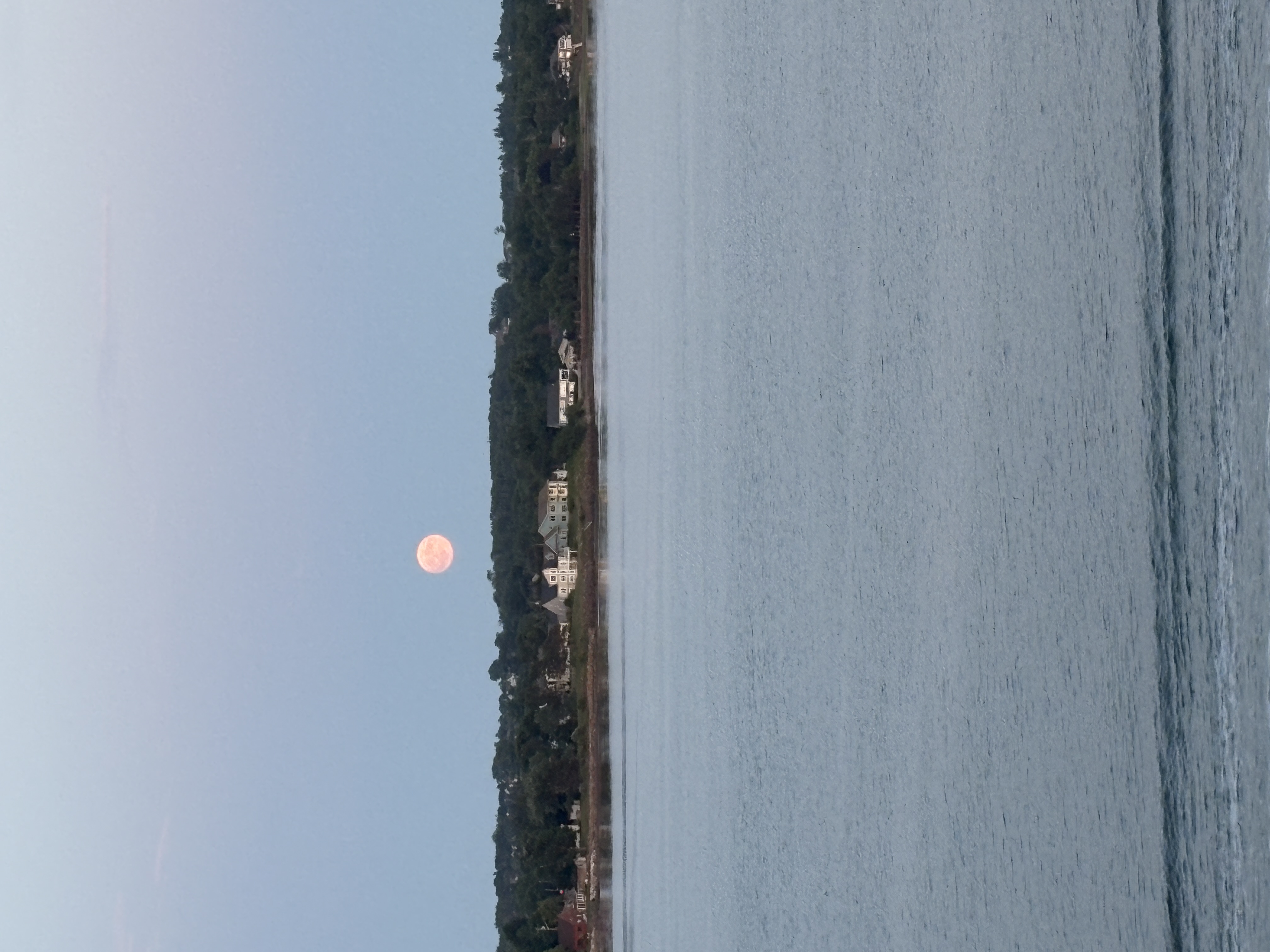 IMG_0180.jpeg