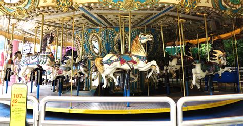 IMG_3434.jpeg