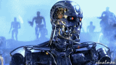 IMG_8916.gif
