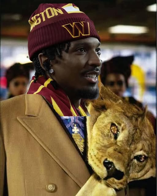 jd5lion.png
