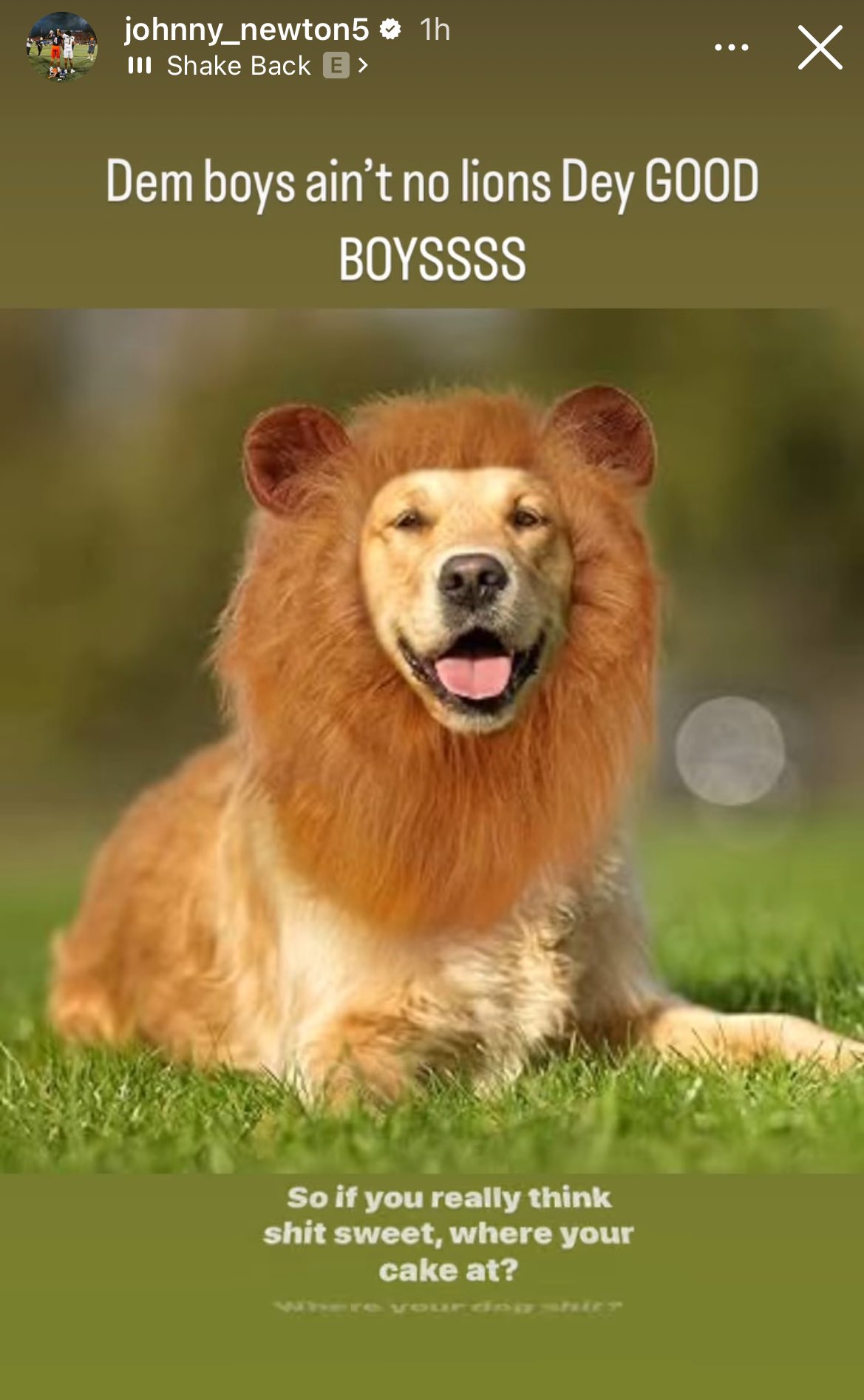 newtonlions.jpeg