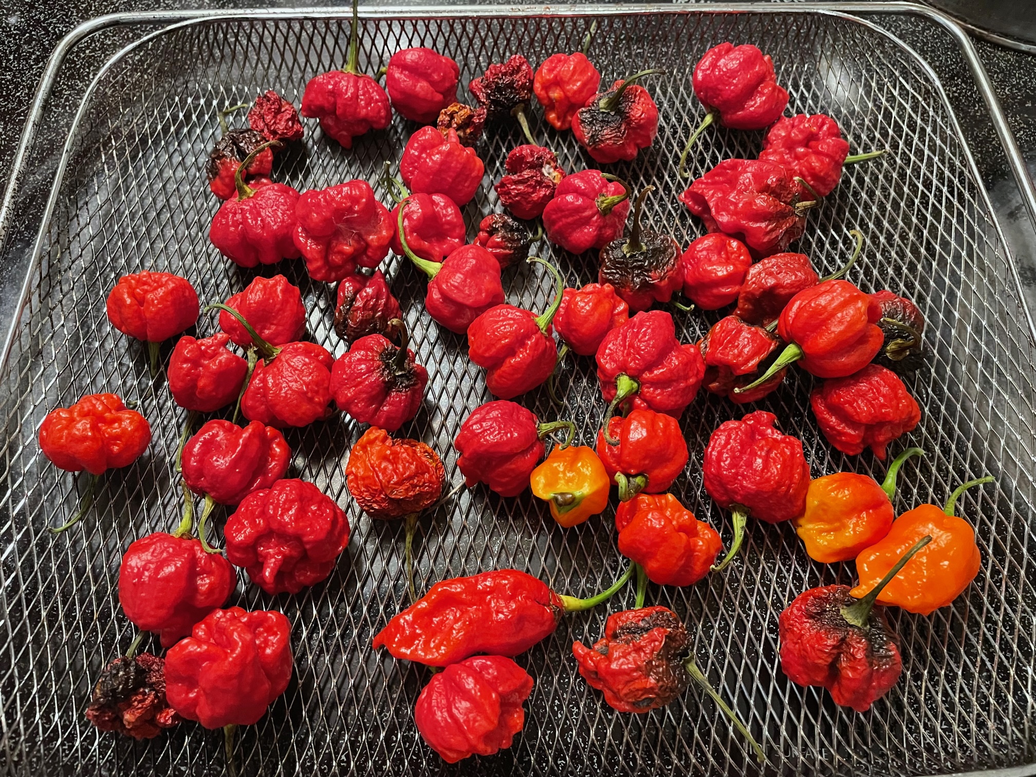reapers.jpg