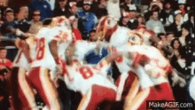 redskins.gif