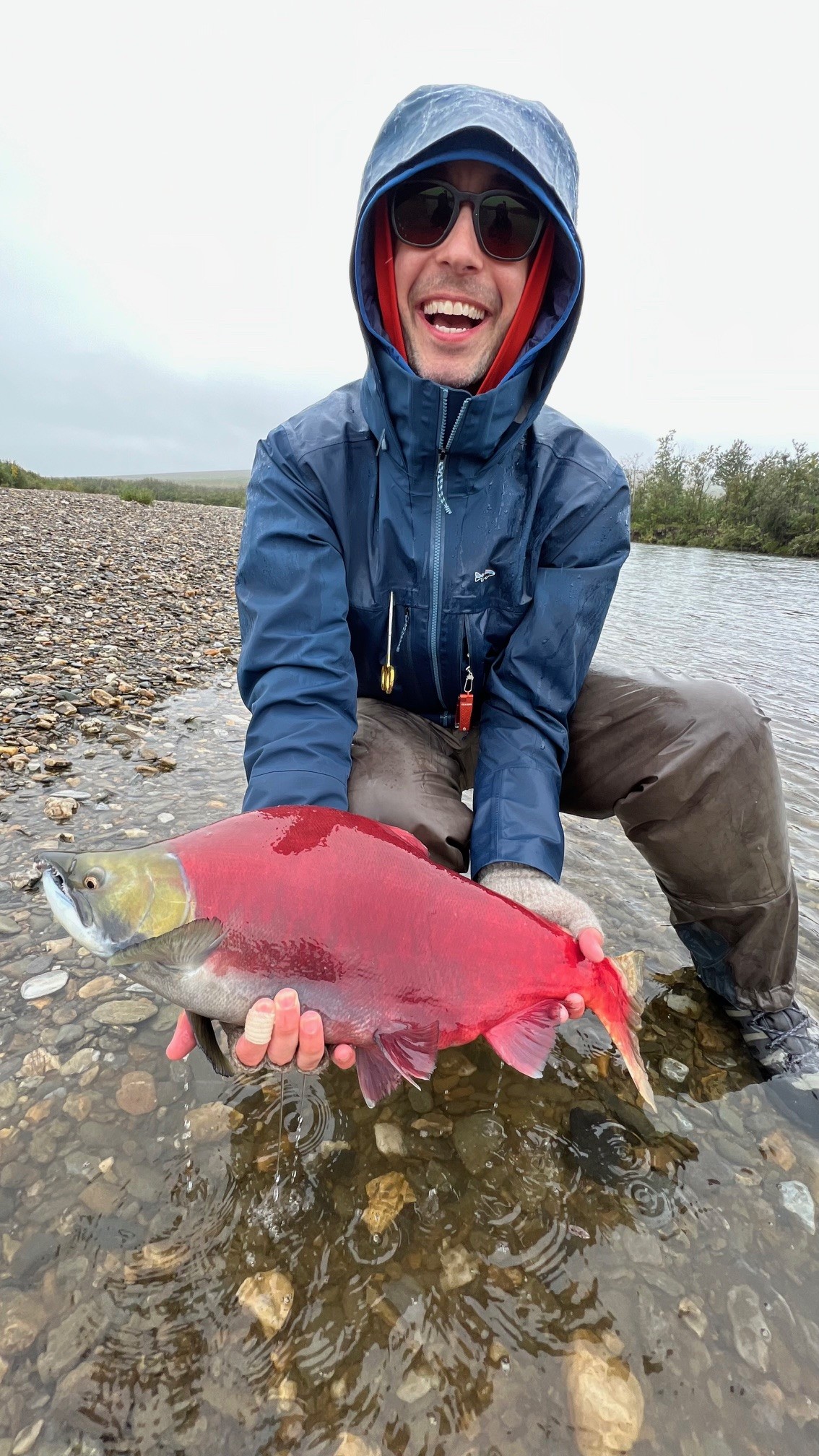 salmon.jpg
