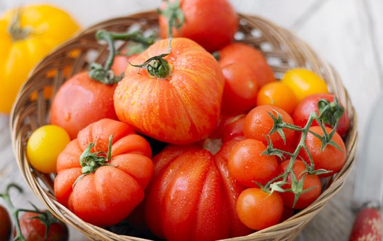 tomatoes-main-dc1e60f.jpg