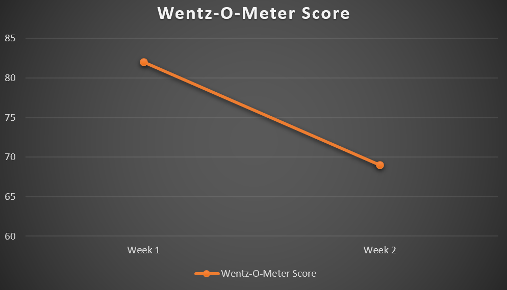 Wentzometergraph.png
