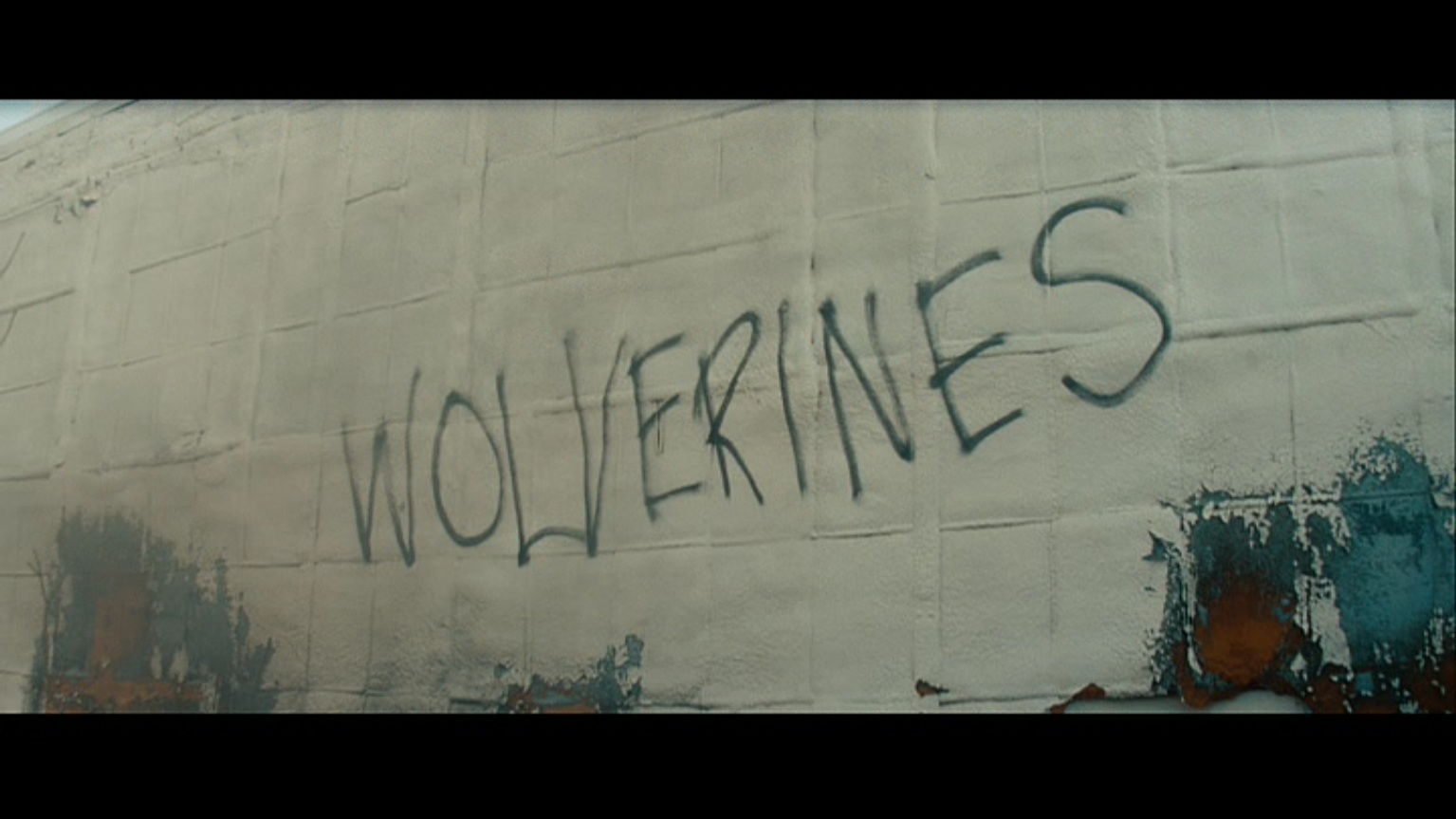 wolverines.jpg