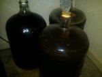 brew.jpg