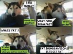 FatSoundsAwesome.jpg