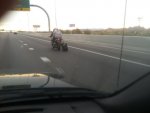 BIKELUGGAGE.jpg