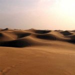 desert-300x300.jpg