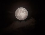 Moon-5108.jpg