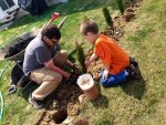 planting shrubs.jpg planting shrubs.jpg