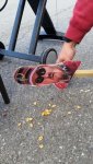 Cheek on a stick nuts ground.jpg Cheek on a stick nuts ground.jpg