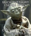yoda-meme-generator-much-butthurt-i-sense-in-you-cry-like-a-baby-you-should-0a3ac3.jpg