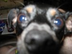 IMG_0606.jpg IMG_0606.jpg