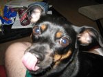 IMG_0610.jpg IMG_0610.jpg