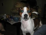 IMG_0617.jpg IMG_0617.jpg