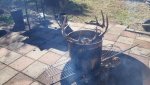 Deersoup.jpg