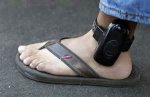 ankle bracelet.jpg ankle bracelet.jpg