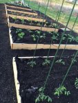 garden.jpg garden.jpg