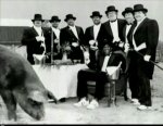 hogsnfceast.jpg