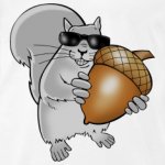 blind-squirrel.jpg blind-squirrel.jpg