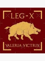 Boar Legion.jpg