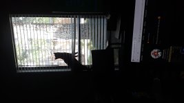 20250703_104808.jpg
