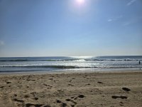 20250718_084646.jpg