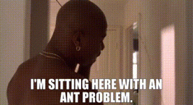 2a402806-805e-48d8-b2db-417dcb3fa07f_text.gif