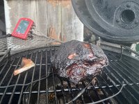 IMG_3560.jpeg