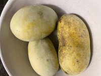 IMG_2493.jpeg