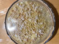 IMG_2550.jpeg